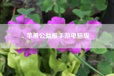 苹果公益服手游电脑版