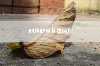 网络爬虫基本原理
