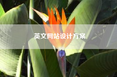 英文网站设计方案 英文网站设计方案