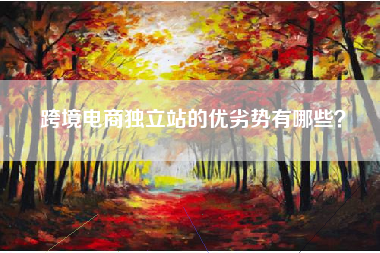 跨境电商独立站的优劣势有哪些？