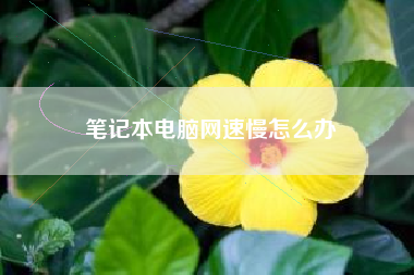 笔记本电脑网速慢怎么办
