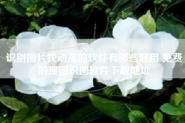 识别图片找动漫的软件有哪些好用 免费的搜图识图软件下载地址