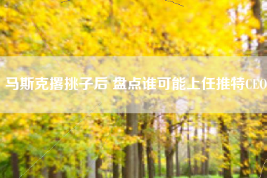 马斯克撂挑子后 盘点谁可能上任推特CEO