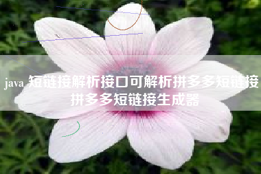 java 短链接解析接口可解析拼多多短链接 拼多多短链接生成器