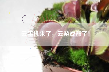 云手机来了，云游戏涨了！