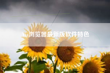 Via浏览器最新版软件特色 Via浏览器最新版软件特色