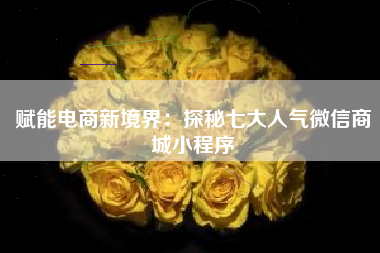 赋能电商新境界:探秘七大人气微信商城小程序 赋能电商新境界:探秘七大人气微信商城小程序