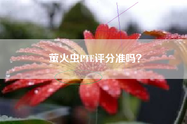 萤火虫PTE评分准吗？