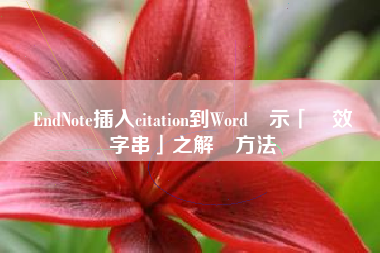 從EndNote插入citation到Word顯示「無效類別字串」之解決方法