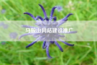 马鞍山网站建设推广