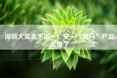 深圳大卖拿下第一！又一“黑马”产品卖爆了