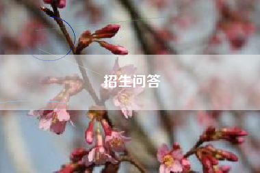 招生问答