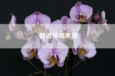 韩语贸易术语