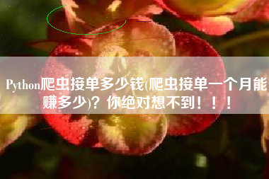Python爬虫接单多少钱(爬虫接单一个月能赚多少)？你绝对想不到！！！