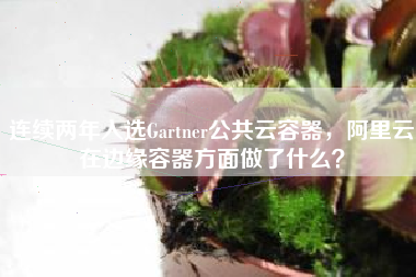 连续两年入选Gartner公共云容器，阿里云在边缘容器方面做了什么？