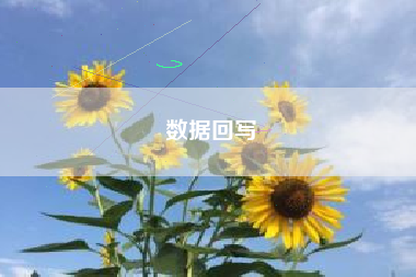 数据回写