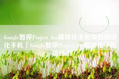Google暂停Project Ara模块化手机项目模块化手机「Google暂停Project Ara模块化手机项目」