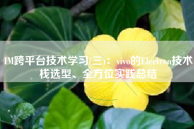IM跨平台技术学习(三)：vivo的Electron技术栈选型、全方位实践总结