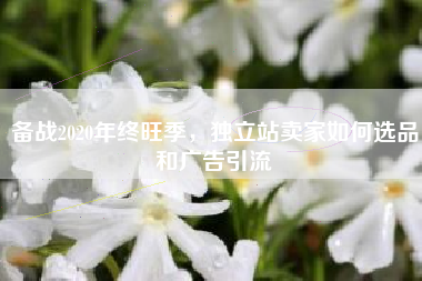 备战2020年终旺季，独立站卖家如何选品和广告引流