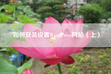 如何安装设置WordPress网站（上）
