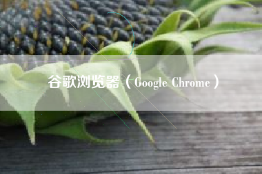 谷歌浏览器（Google Chrome）