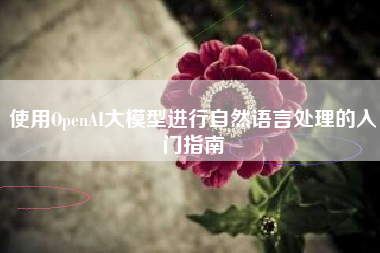 使用OpenAI大模型进行自然语言处理的入门指南