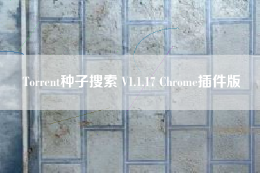 Torrent种子搜索 V1.1.17 Chrome插件版