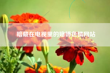 暗藏在电视里的赌博色情网站
