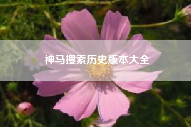 神马搜索历史版本大全