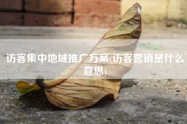 访客集中地域推广方案(访客营销是什么意思)