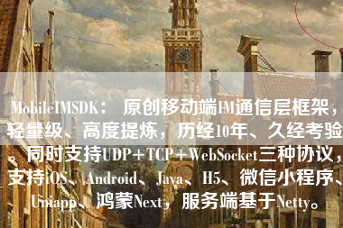 MobileIMSDK: 原创移动端IM通信层框架,轻量级、高度提炼,历经10年、久经考验。同时支持UDP+TCP+WebSocket三种协议,支持iOS、Android、Java、H5、微信小程序、Uniapp、鸿蒙Next,服务端基于Netty。 MobileIMSDK: 原创移动端IM通信层框架,轻量级、高度提炼,历经10年、久经考验。同时支持UDP+TCP+WebSocket三种协议,支持iOS、Android、Java、H5、微信小程序、Uniapp、鸿蒙Next,服务端基于Netty。