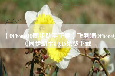 【OPhoneQQ同步助手下载】飞利浦OPhoneQQ同步助手8.0.16免费下载 【OPhoneQQ同步助手下载】飞利浦OPhoneQQ同步助手8.0.16免费下载
