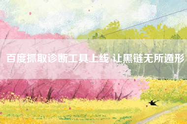 百度抓取诊断工具上线 让黑链无所遁形