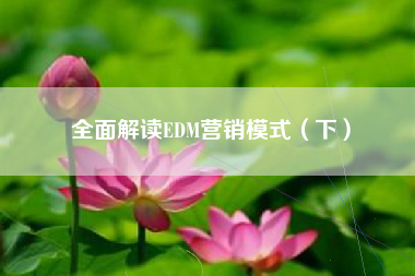 全面解读EDM营销模式（下）
