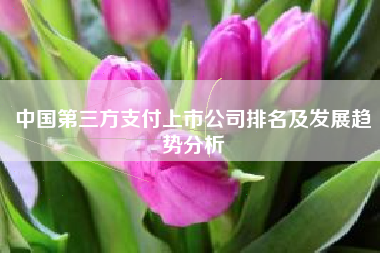中国第三方支付上市公司排名及发展趋势分析