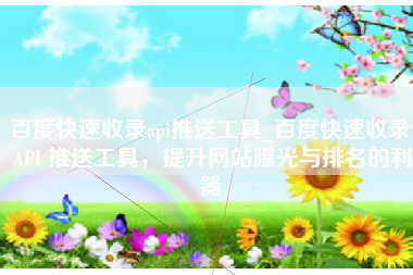 百度快速收录api推送工具_百度快速收录 API 推送工具，提升网站曝光与排名的利器