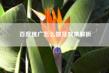 百度推广怎么做及效果解析