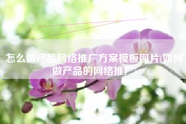 怎么做产品网络推广方案模板图片(如何做产品的网络推广)
