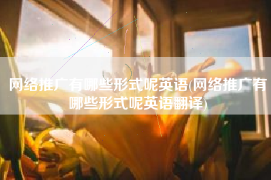网络推广有哪些形式呢英语(网络推广有哪些形式呢英语翻译)