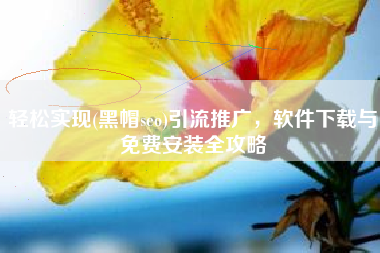 轻松实现(黑帽seo)引流推广，软件下载与免费安装全攻略
