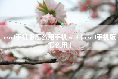 excel手机版怎么用手机excel「excel手机版怎么用」