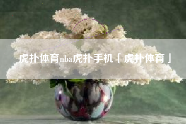 虎扑体育nba虎扑手机「虎扑体育」