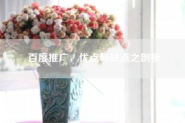 百度推广，优点与缺点之剖析