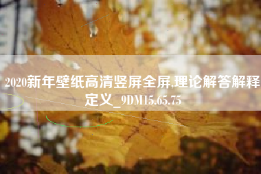 2020新年壁纸高清竖屏全屏,理论解答解释定义_9DM15.65.75