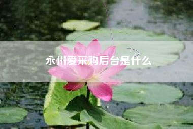永州爱采购后台是什么