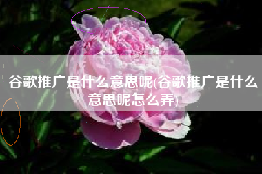 谷歌推广是什么意思呢(谷歌推广是什么意思呢怎么弄)