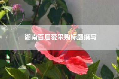 湖南百度爱采购标题撰写