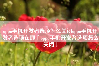 oppo手机开发者选项怎么关闭oppo手机开发者选项在哪「oppo手机开发者选项怎么关闭」