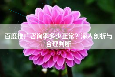 百度推广咨询率多少正常？深入剖析与合理判断
