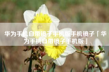 华为手机自带镜子手机版手机镜子「华为手机自带镜子手机版」